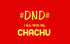 DND WITH CHACHU - Red - image 1